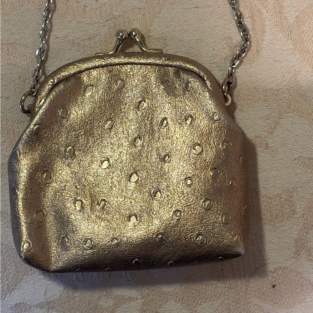 Gold Bronze Mini Crossbody Bag 3x4